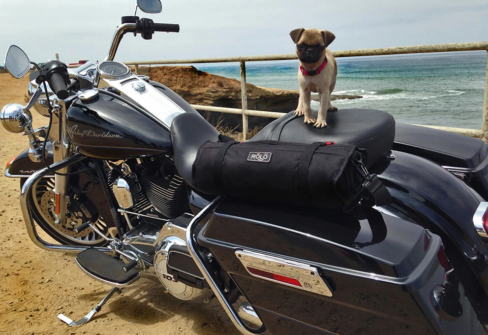 Discount ๐ Portable Roll-Up Travel Bag by Rolo Adventures LLC ๐ - Image 8