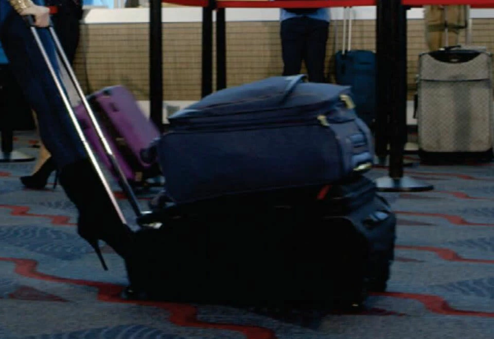 New ✔️ Convertible Pushcart Luggage by Paramount Sales Group, LLC 🛒 - Image 2